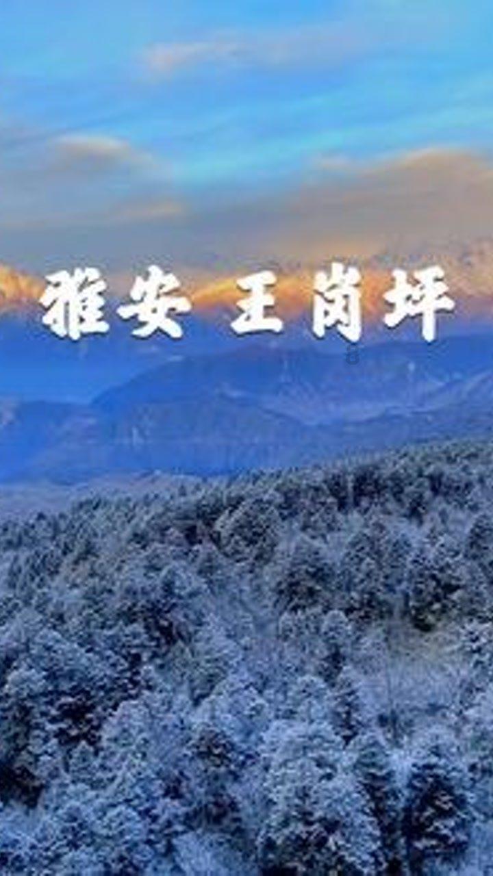 次元喵